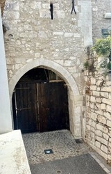 Orgon0109